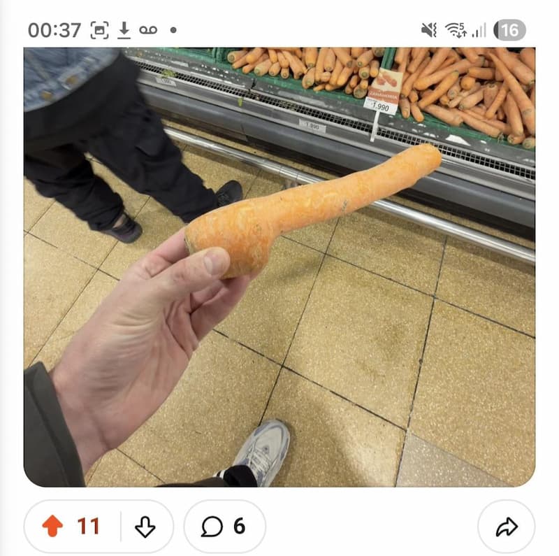 Giant Carrot Find — Absurd meme