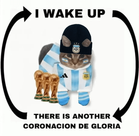 Argentina Cat Coronación Gloria Cycle