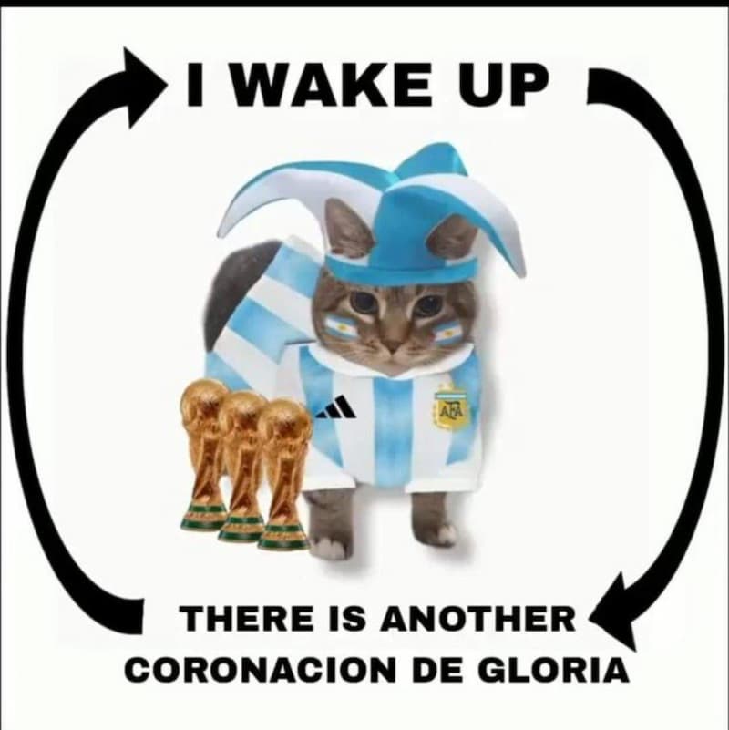 Cat Celebrates Argentina's World Cup Glory