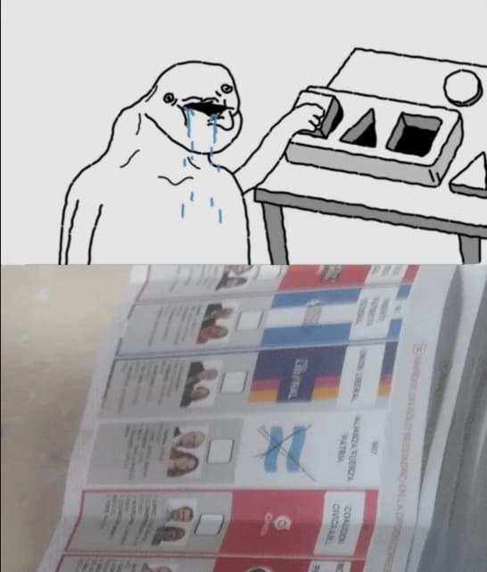 Crying Wojak Casts Argentine Vote — Argentina Politics meme