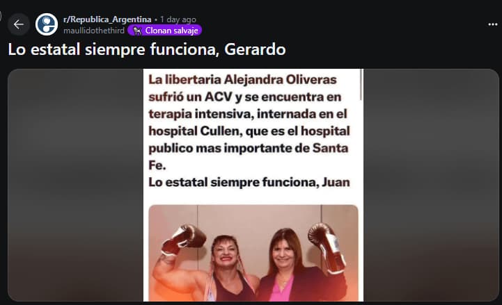 Lo Estatal Siempre Funciona — Argentina Politics meme