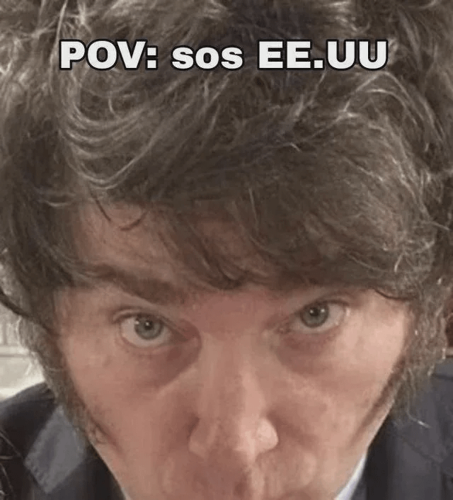 POV You Are the USA Milei Stares