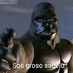 CGI Gorilla Gives Thumbs Up You Are Great — Argentina Slang meme