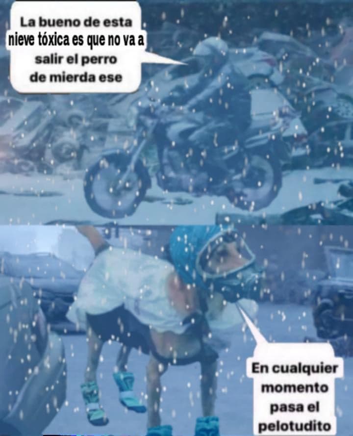 Toxic Snow Fails To Keep Annoying Dog Inside — Argentina Slang meme