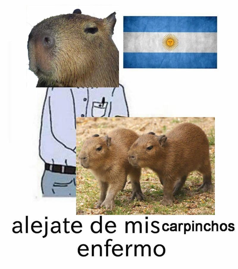 Alejate de Mis Carpinchos, Enfermo — meme de Argentina