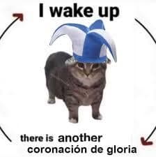 El Gato Bufón se Despierta a Otra Coronación de Gloria — meme de Cat Reaction