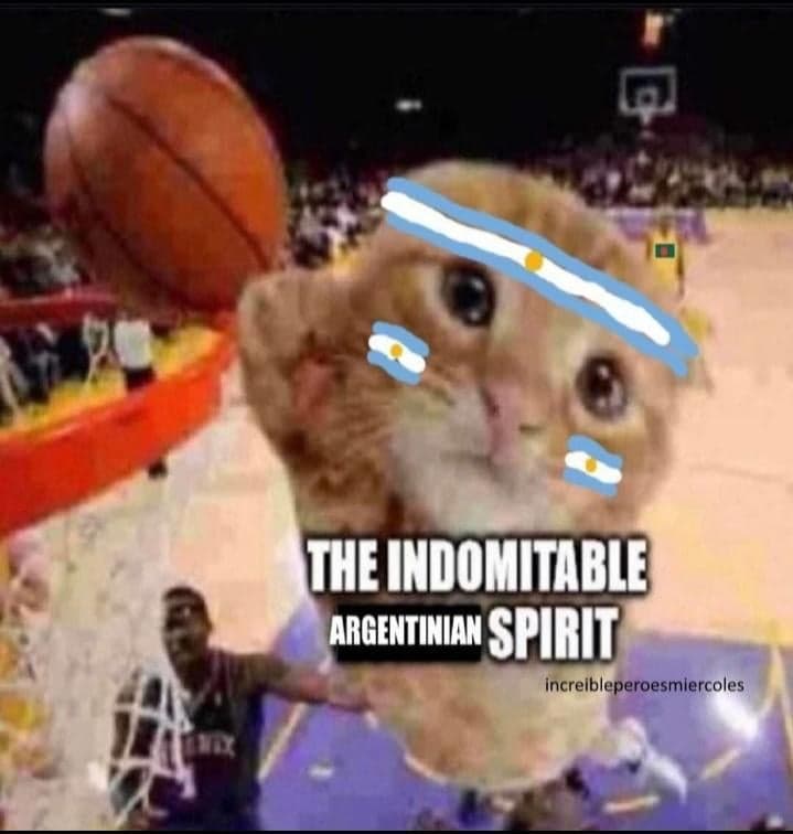 El Gato Llorón Clava Un Mate Con Orgullo Argentino — meme de Crying Cat