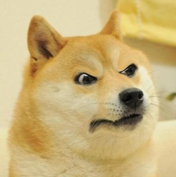 ¿QUIÉN LO HIZO ENOJAR??? — meme de Doge