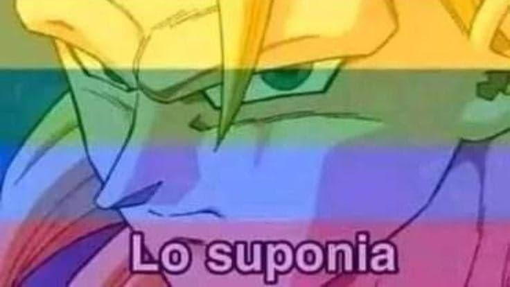 Trunks Had a Rainbow Feeling All Along — Dragon Ball Reaction meme