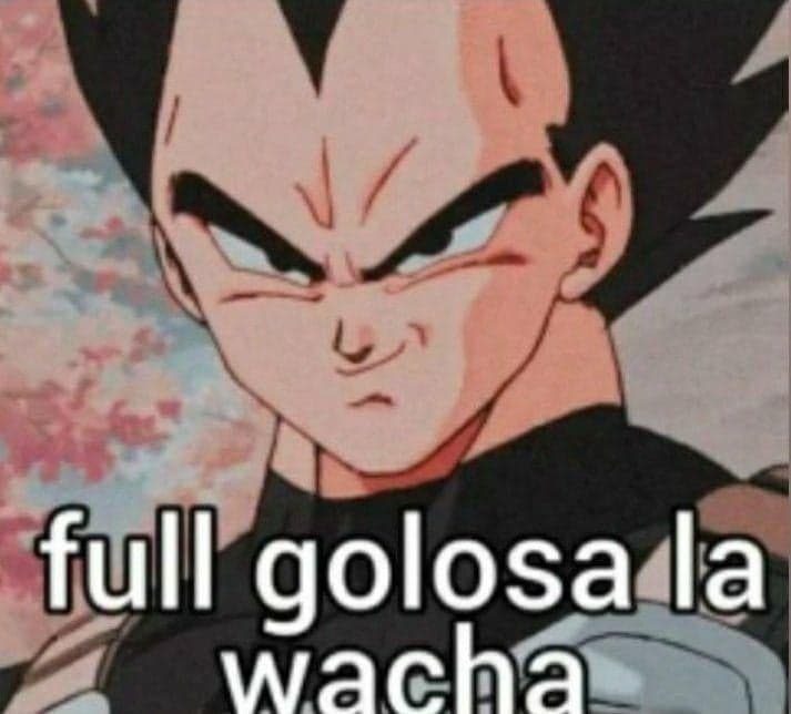Vegeta Goes Full Argentine Slang Mode — Dragon Ball Reaction meme