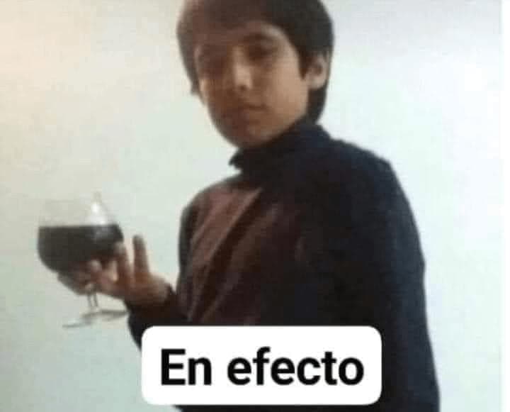 Pibe con Copa de Vino Dice En Efecto — meme de En Efecto