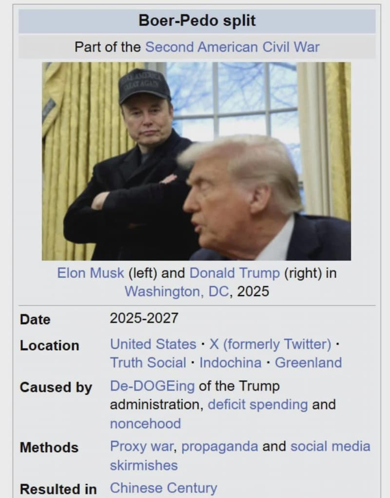 Fake Wikipedia Musk Trump Civil War