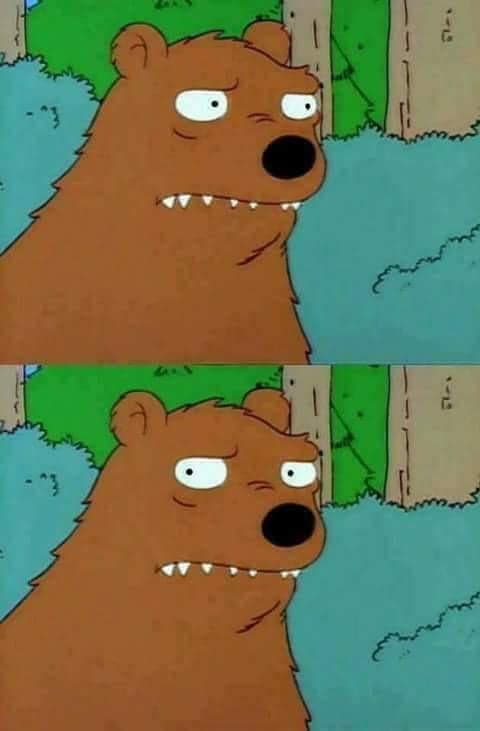 Bear Stares You Down Intensely — Family Guy Reaction meme