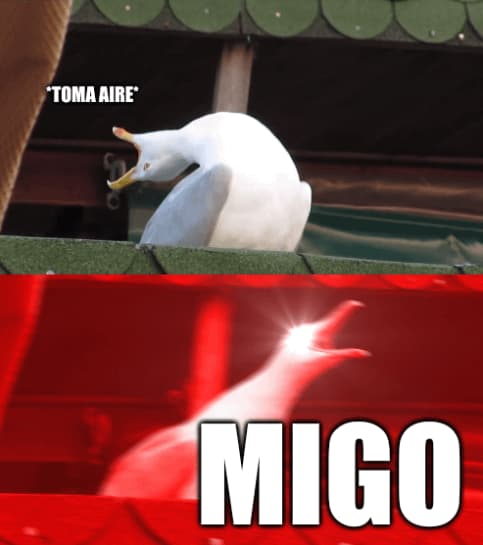 La Gaviota Toma Aire y Grita MIGO