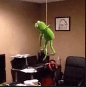 Kermit Plush Hanging From Ceiling Dark Humor