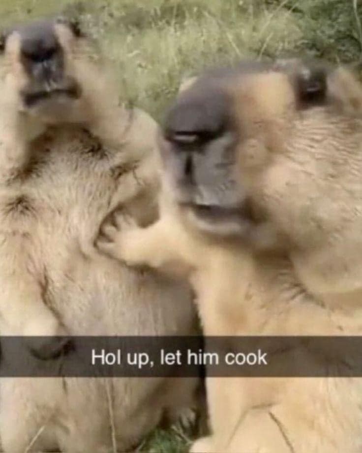 Hol Up Let Him Cook Prairie Dogs — Let Him Cook meme