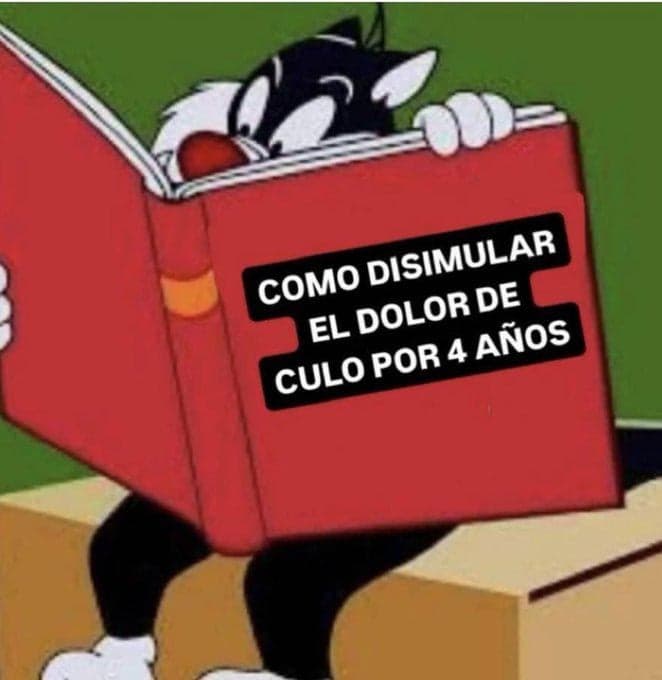 Silvestre lee 'Cómo disimular el dolor cuatro años' — meme de Looney Tunes Reading Book