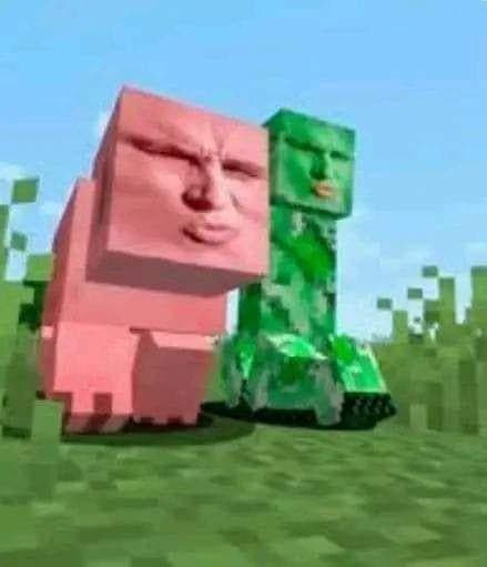 Mobs de Minecraft con caras humanas perturbadoras — meme de Minecraft Shitpost