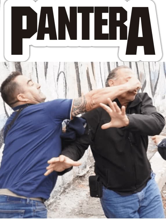 Pantera Logo Lands Perfectly Above This Fight — Pantera Band Humor meme