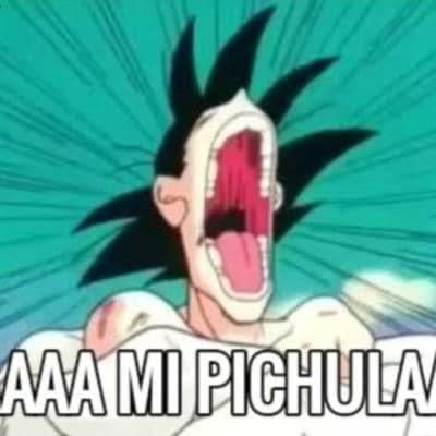 Goku Gritando Aaaah Mi Picha — Reaccion Espanol meme