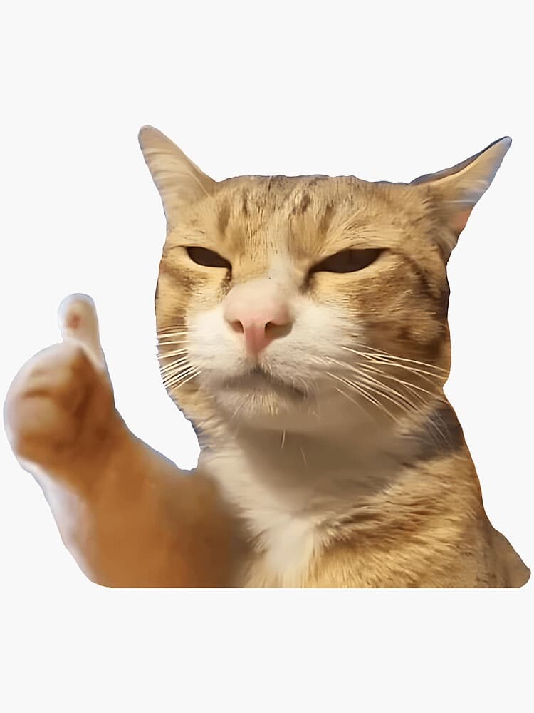 El gato naranja te da el visto bueno — meme de Reaction