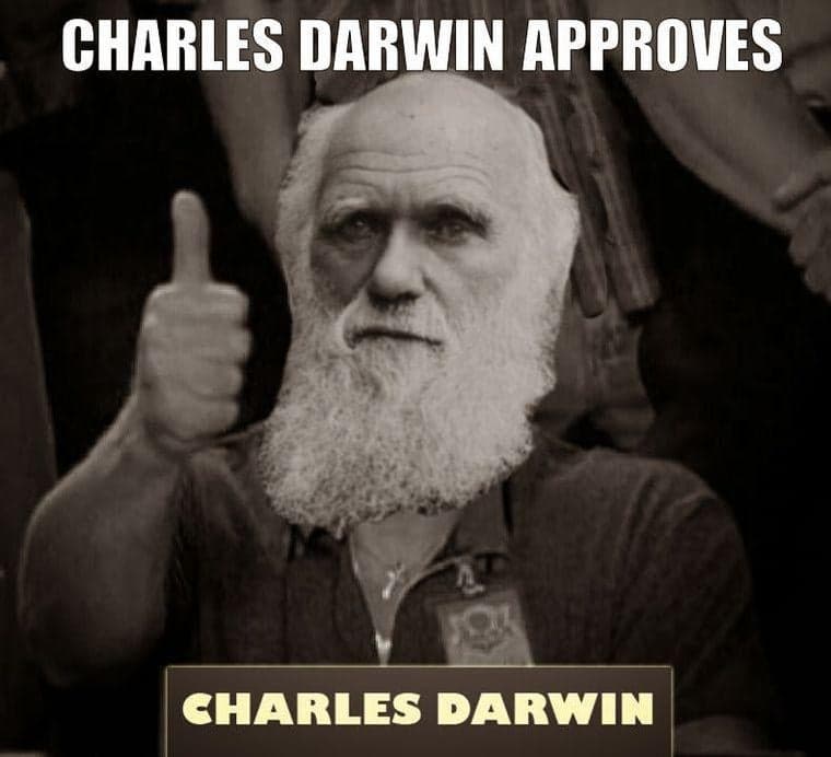 Darwin Approves Thumbs Up — meme de Reaction