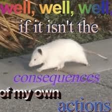 Consequences Of My Own Actions — meme de Reaction