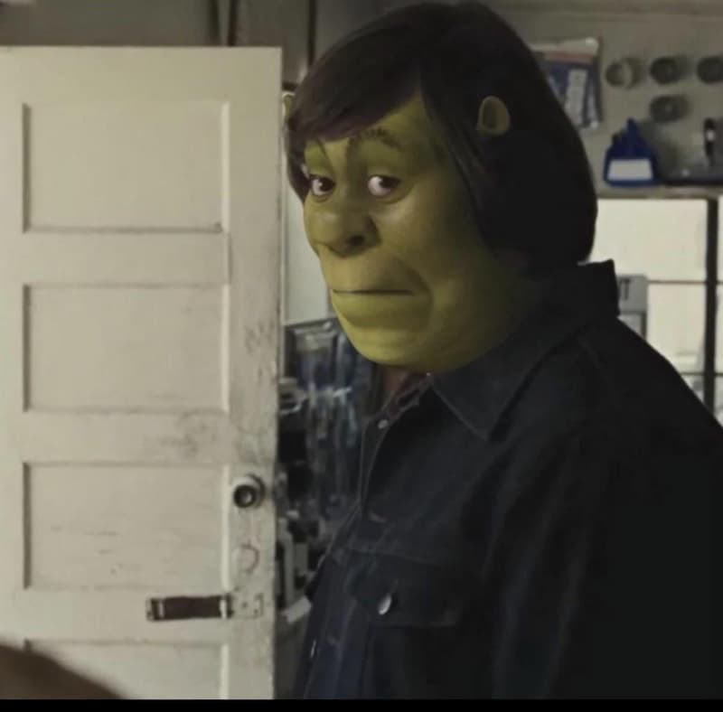 Disappointed Shrek Side Eye — meme de Reaction