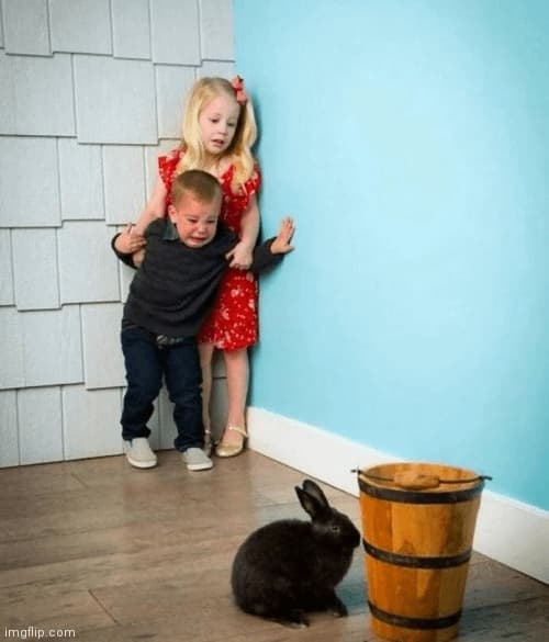 Los Pibes Cagados de Miedo por el Conejo — meme de Scared Kids Rabbit