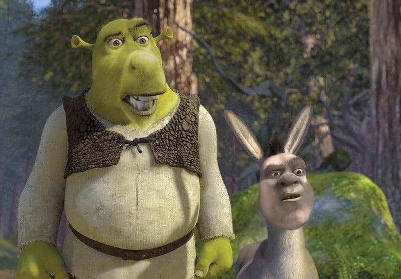 Shrek and Donkey Did Not See That Coming — Shrek Reaction meme