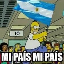Homer Simpson Waves The Argentine Flag Proudly — Simpsons meme
