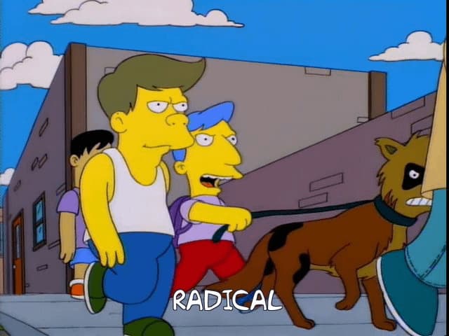 Radical Teens Walk a Dangerous Dog — Simpsons meme
