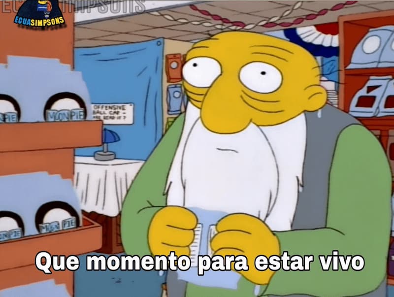 What a Moment to Be Alive — Simpsons meme