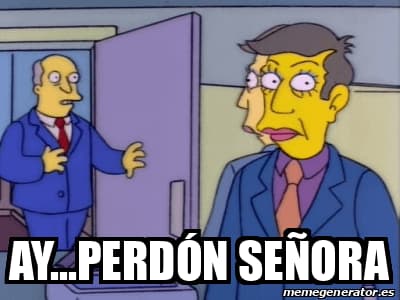 Skinner Apologizes to the Lady — Simpsons meme