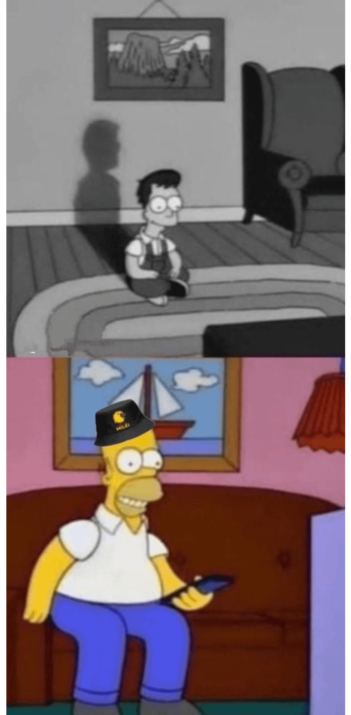 Young Homer vs Adult Homer in Milei Hat