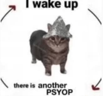 El Gato Se Despierta Y Hay Otro Psiop — meme de Tinfoil Cat