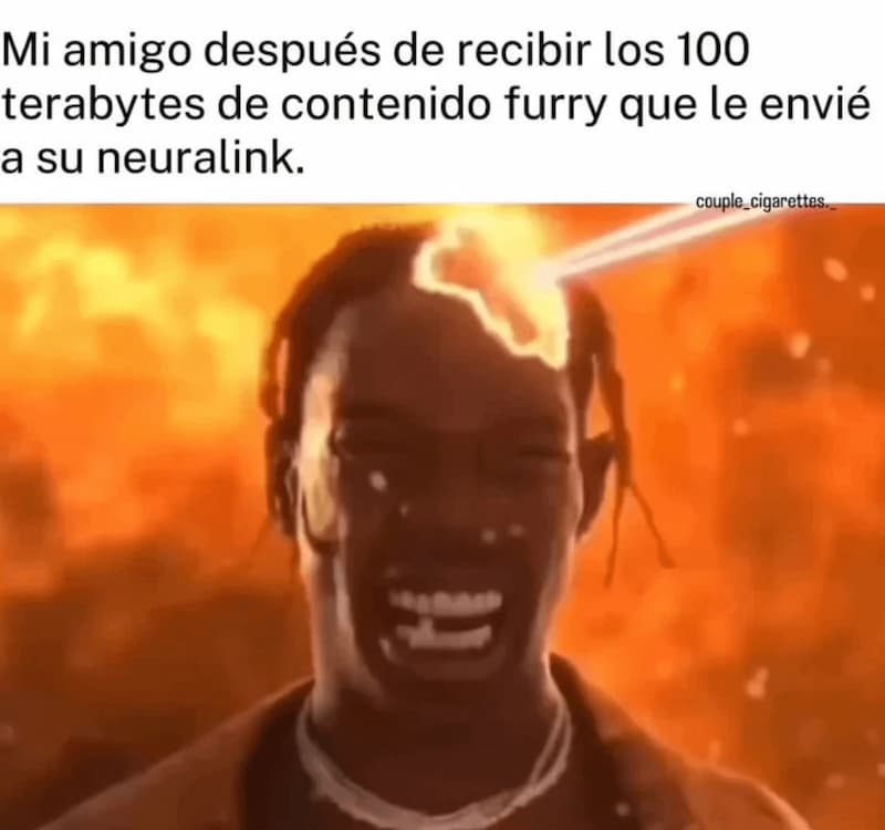 Mandándole 100TB De Contenido Furry Al Neuralink De Tu Amigo — meme de Travis Scott Fire