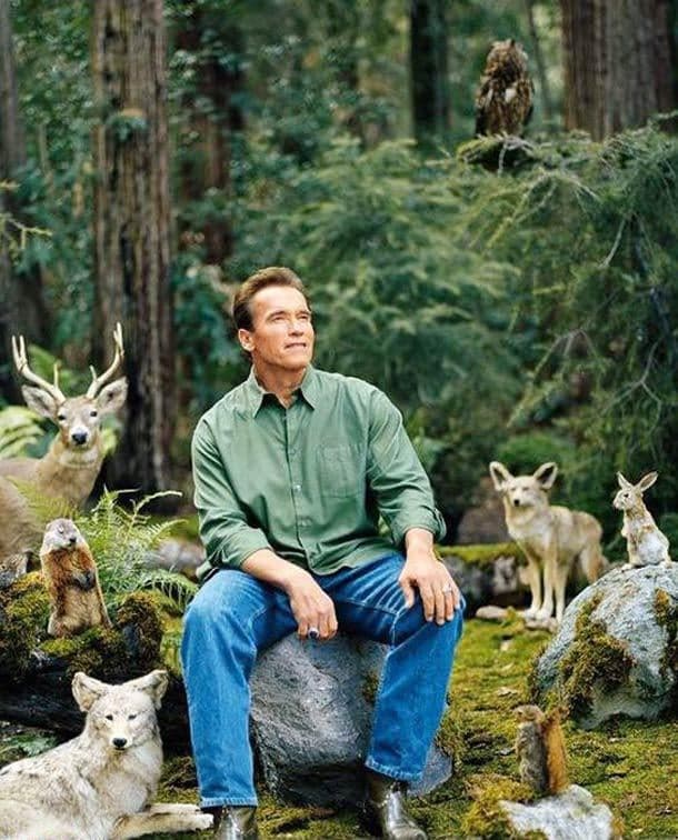 Arnold Schwarzenegger With Animals — meme de Wholesome