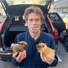 Willem Dafoe Sostiene Dos Carpinchos — meme de Willem Dafoe Capybara