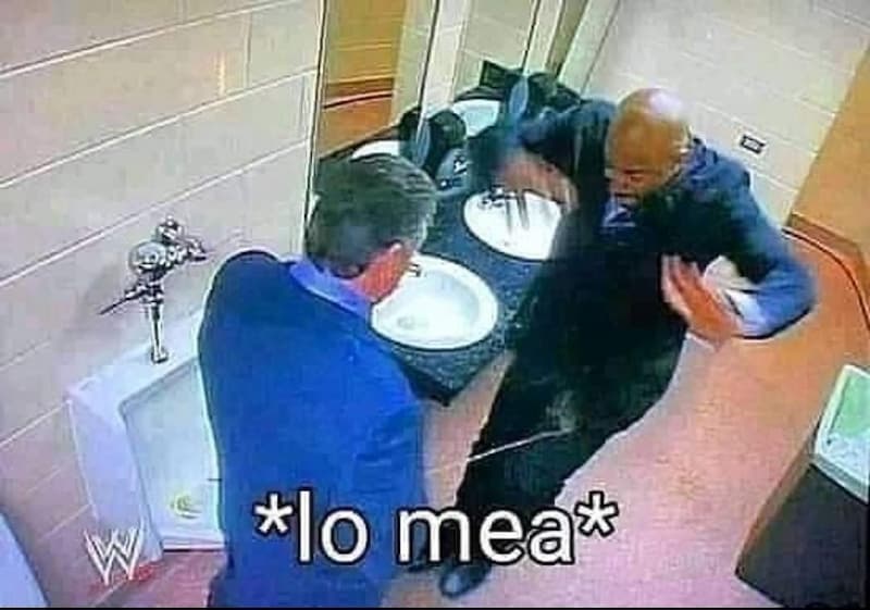 La Emboscada en el Baño de la WWE le Sale Mal — meme de Wwe Bathroom Attack
