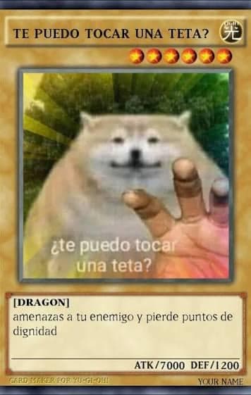 Cat Yu-Gi-Oh Card Asks Inappropriate Question — Yugioh Card meme